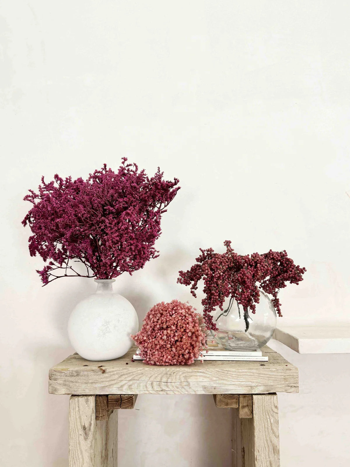 Packs flores preservadas