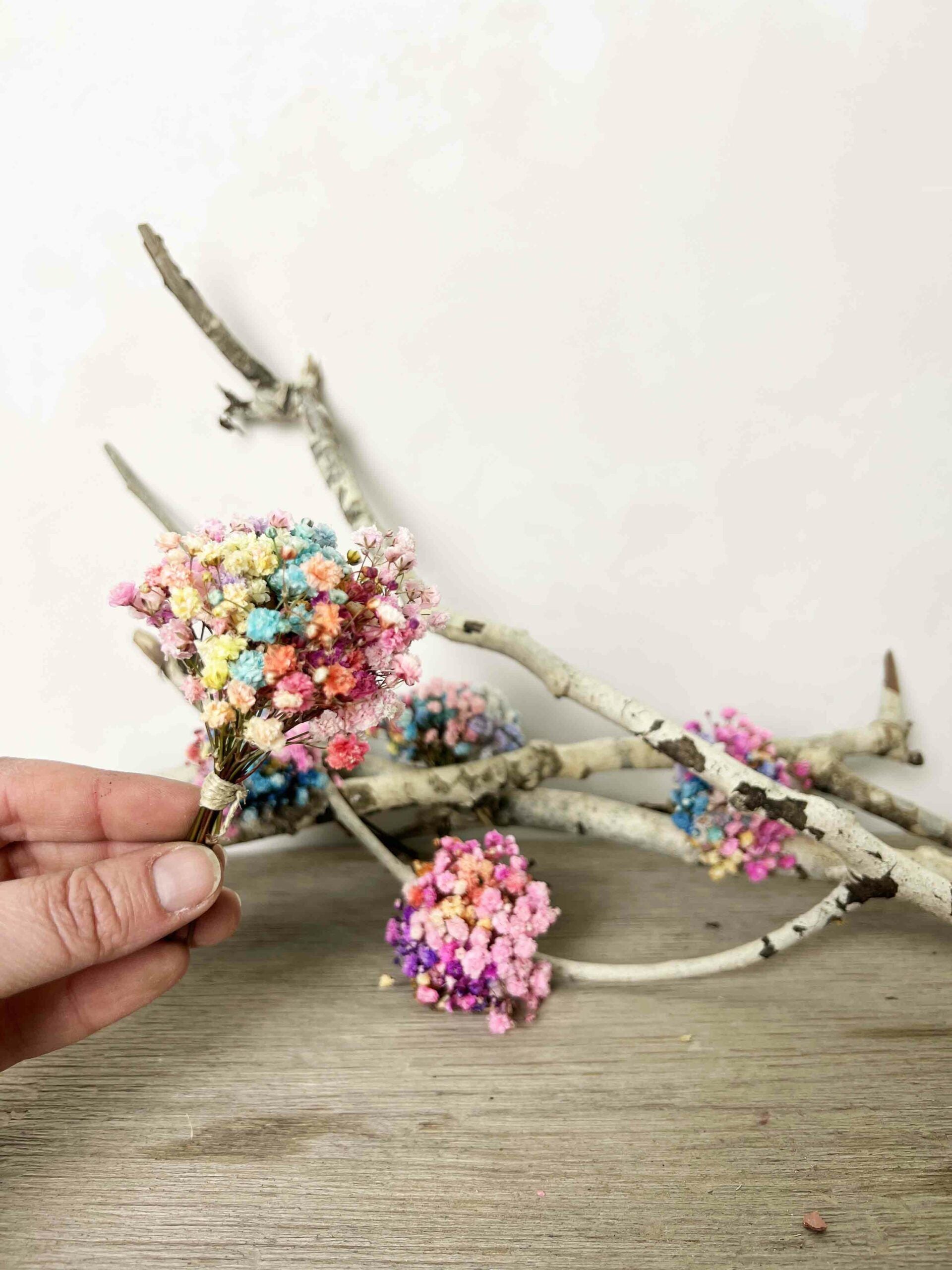 Ramitos Paniculata Multicolor