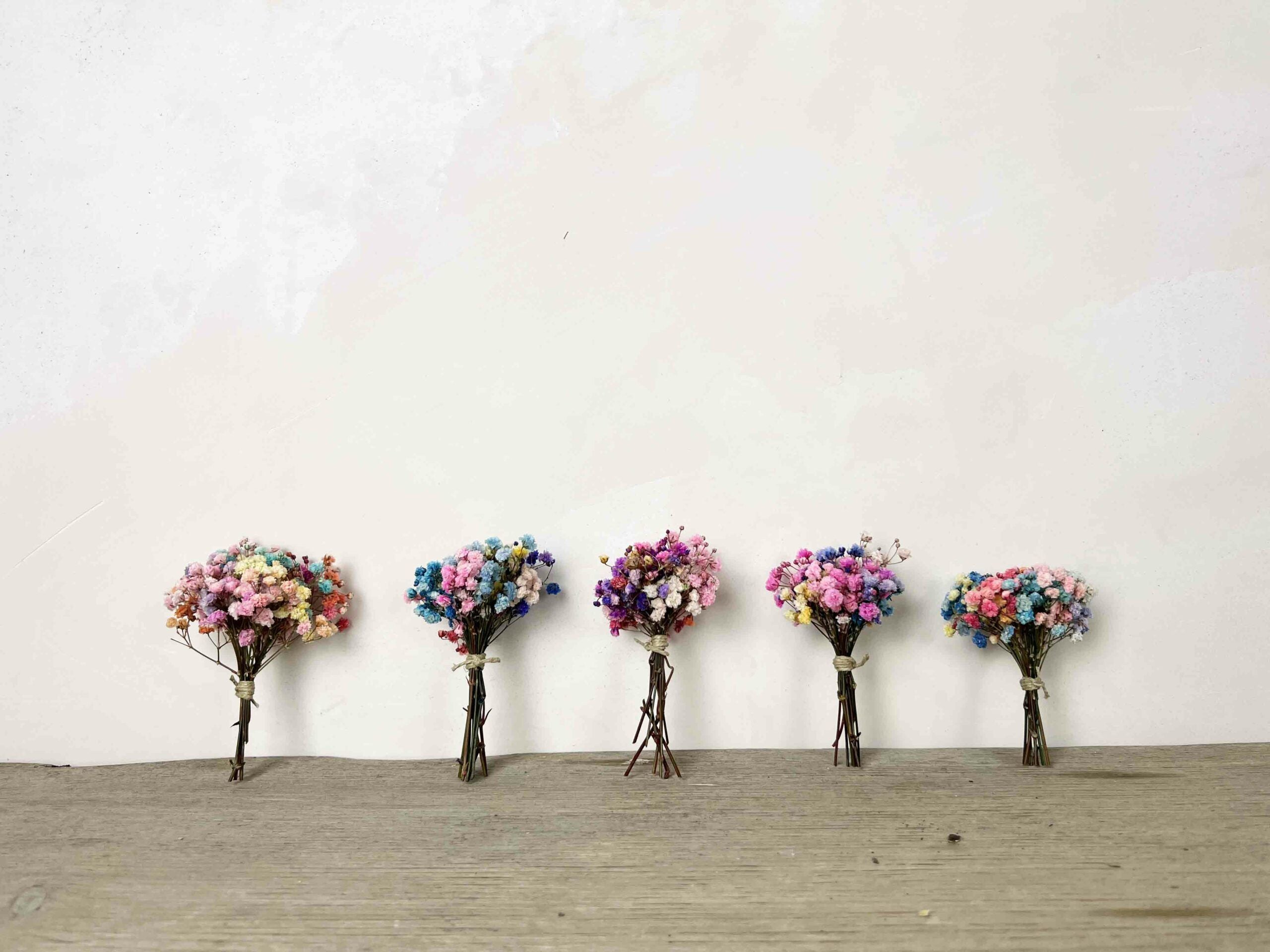 Ramitos Paniculata Multicolor