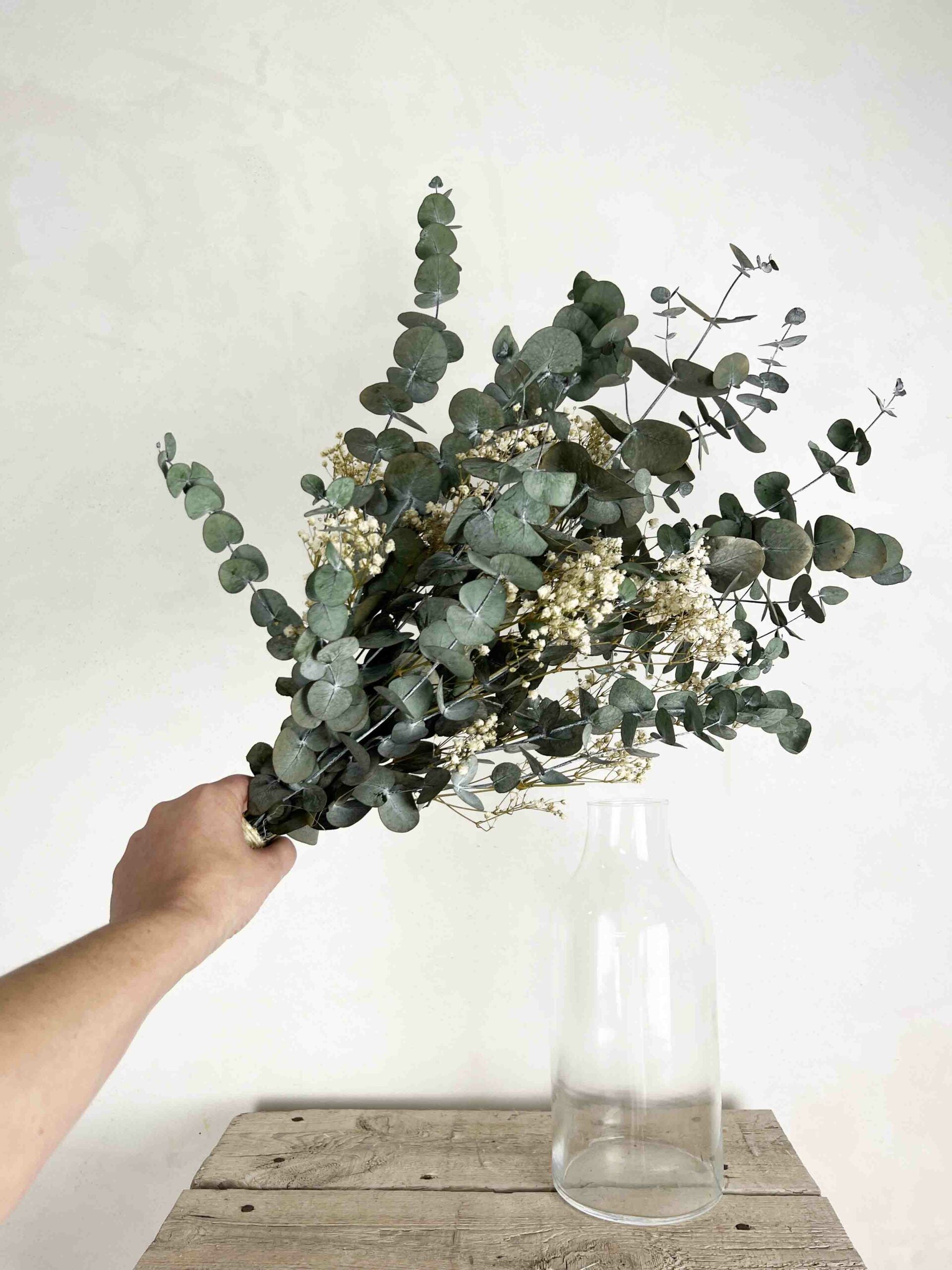 Ramo Eucalipto White