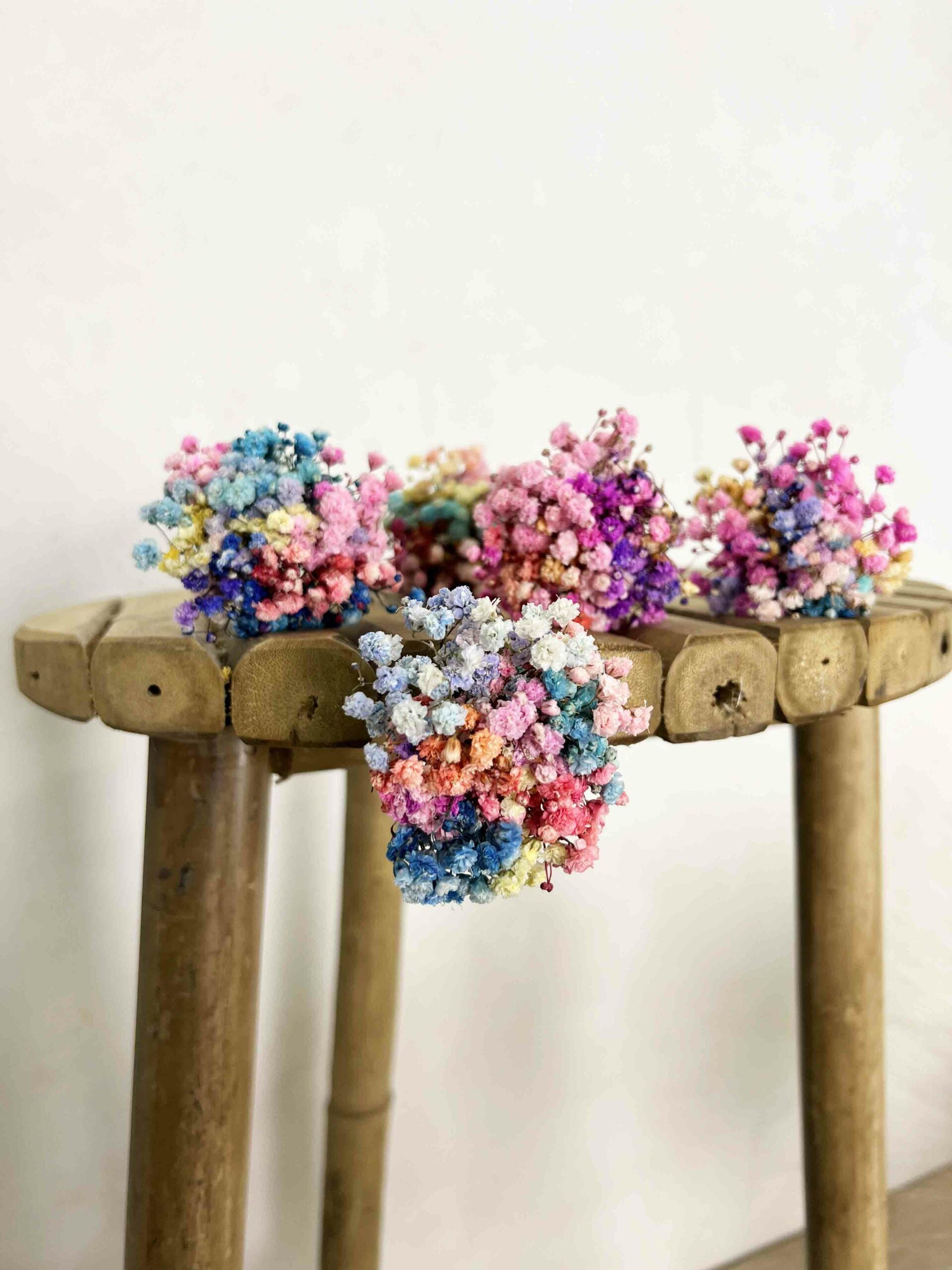 Ramitos Paniculata Multicolor