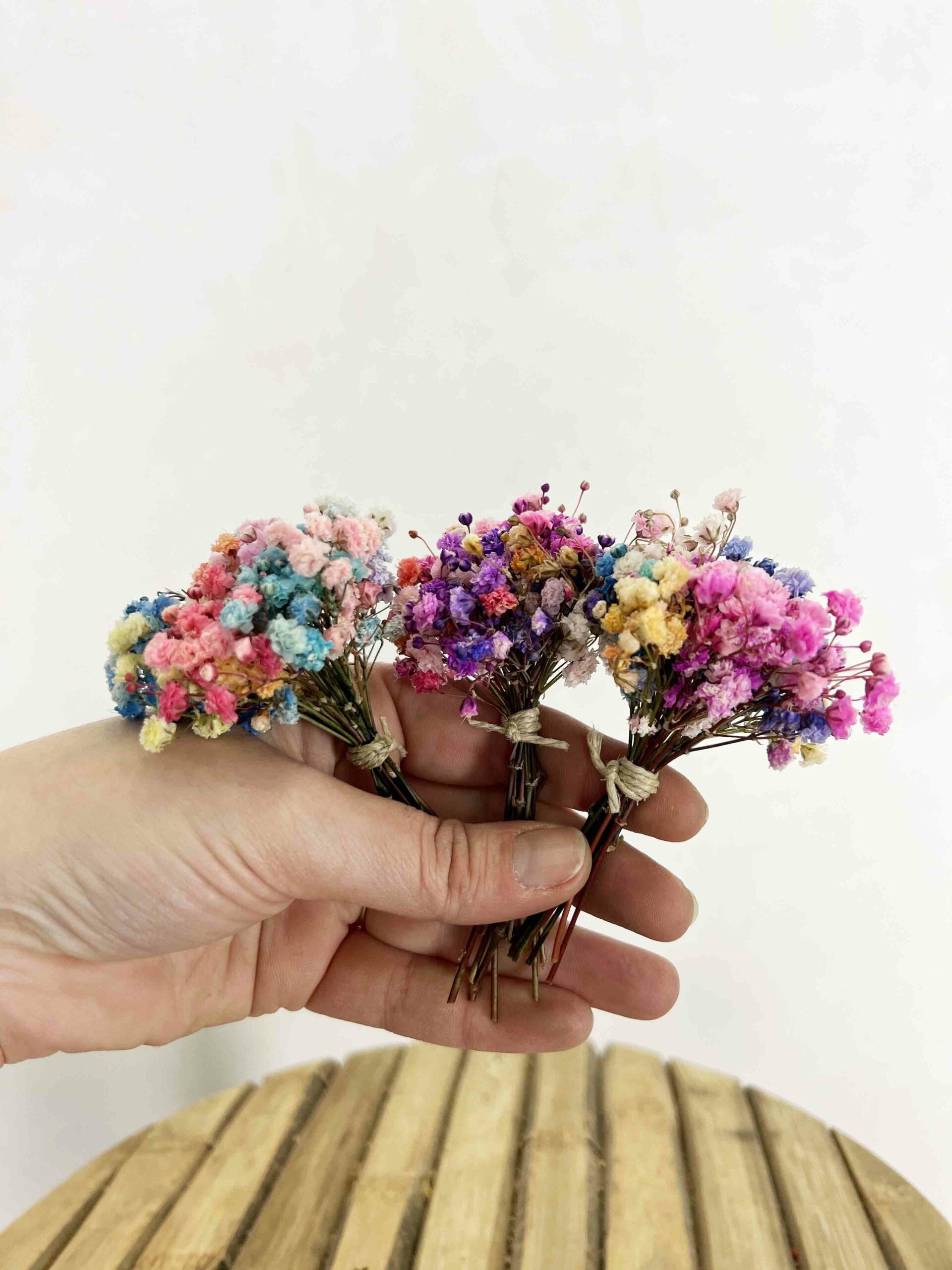 Ramitos Paniculata Multicolor