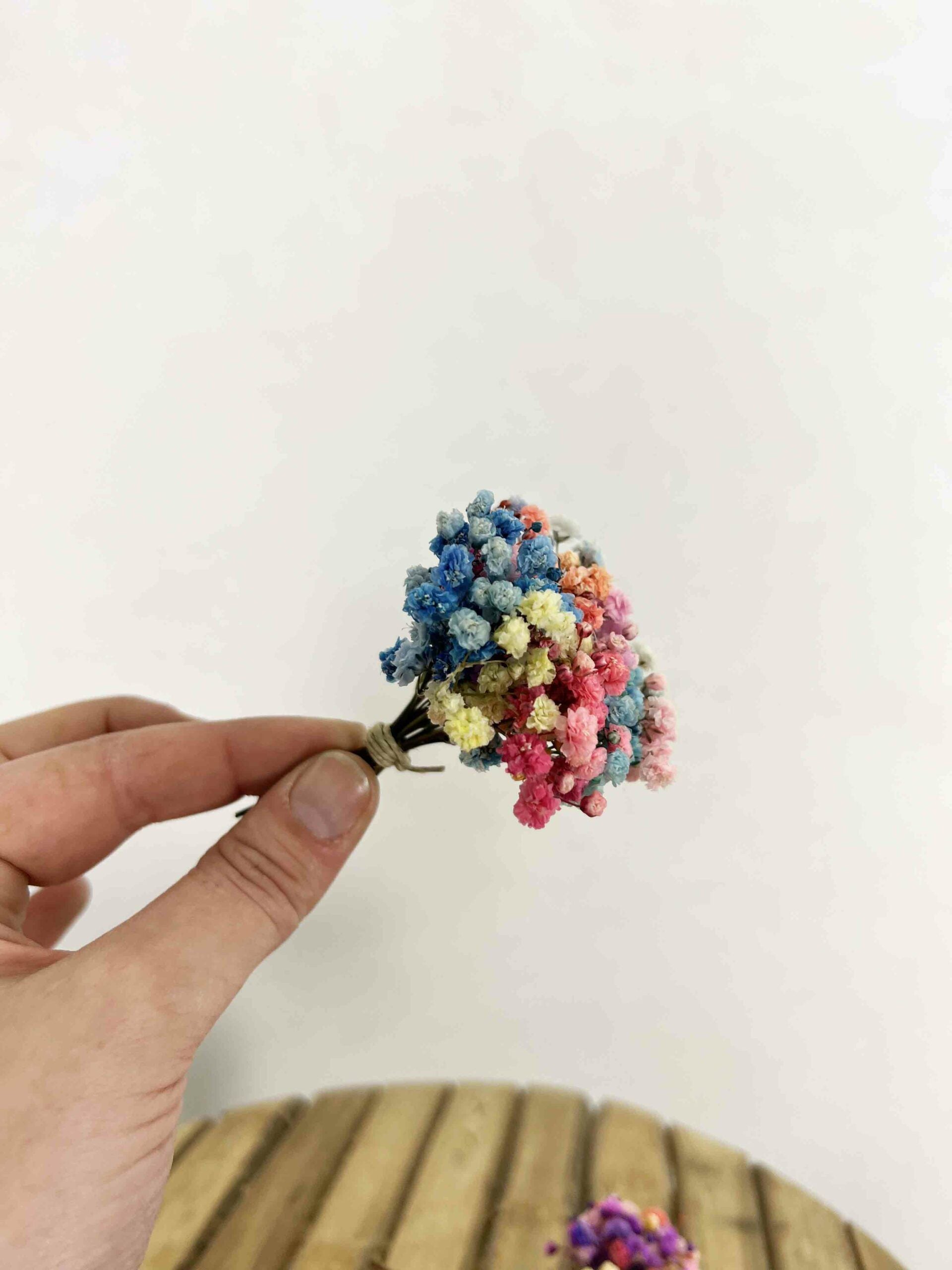 Ramitos Paniculata Multicolor