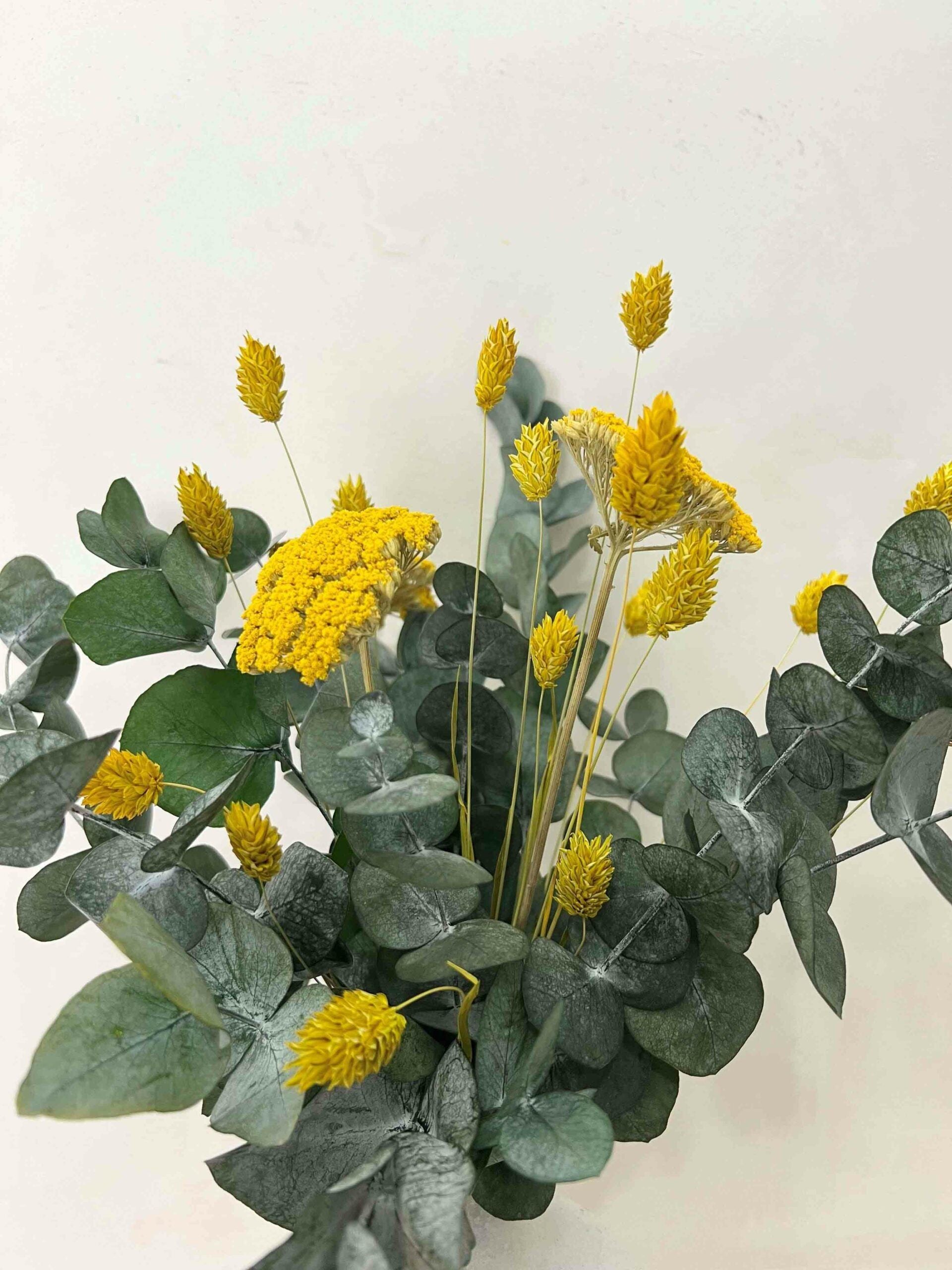 Pack Boho+Eucalipto Yellow