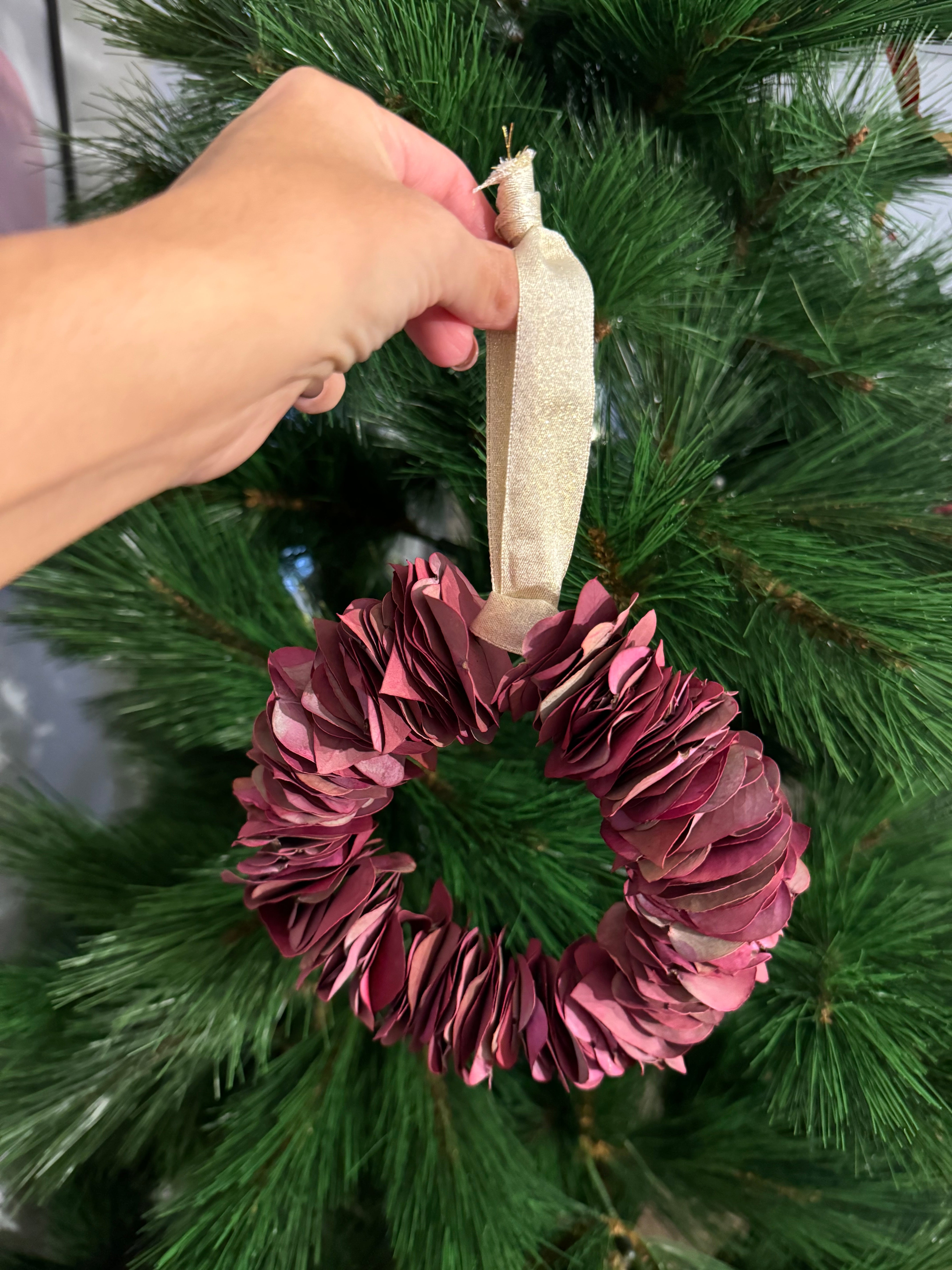 Corona mini burgundy (2 und)