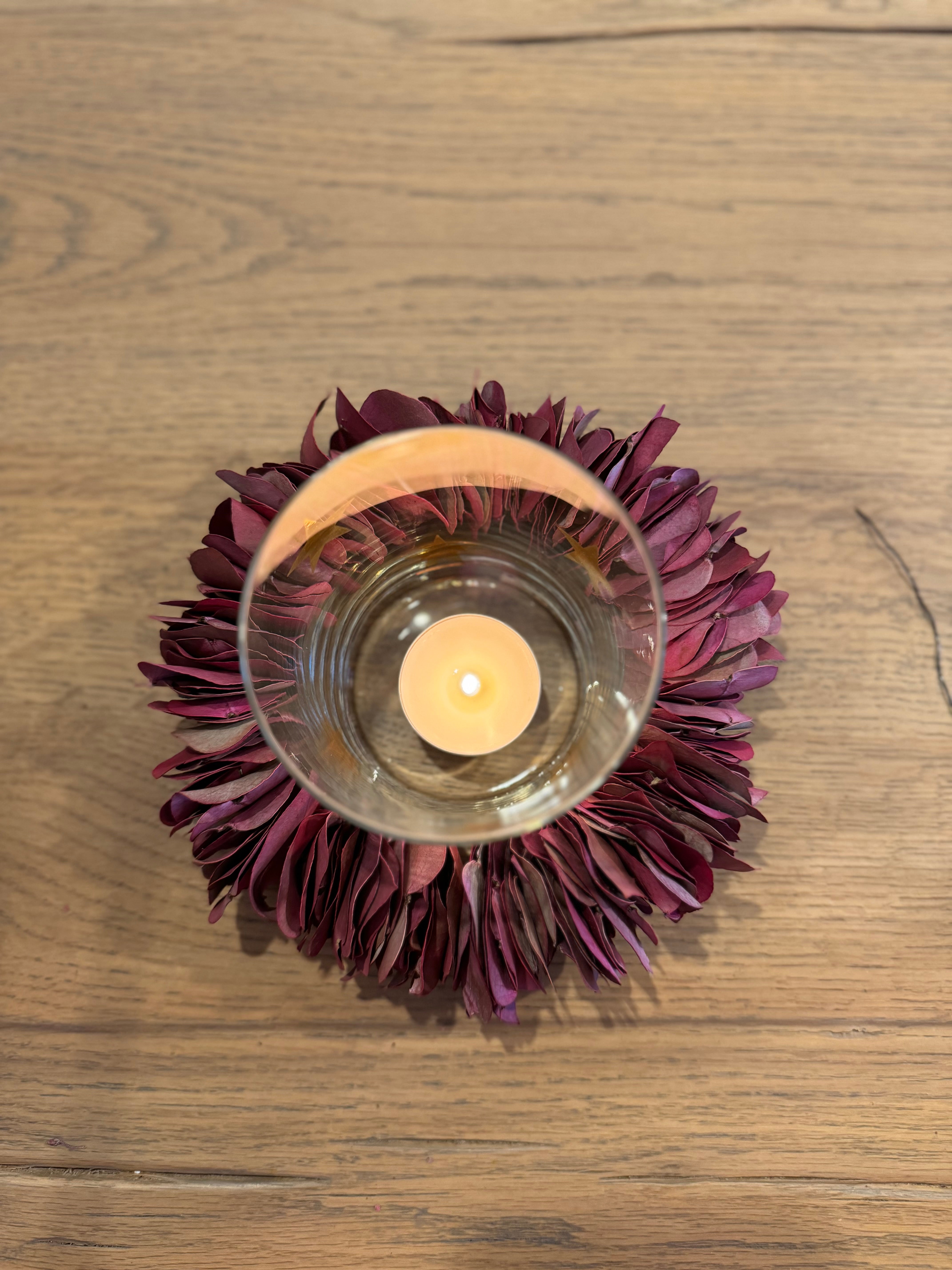 Corona mini burgundy (2 und)