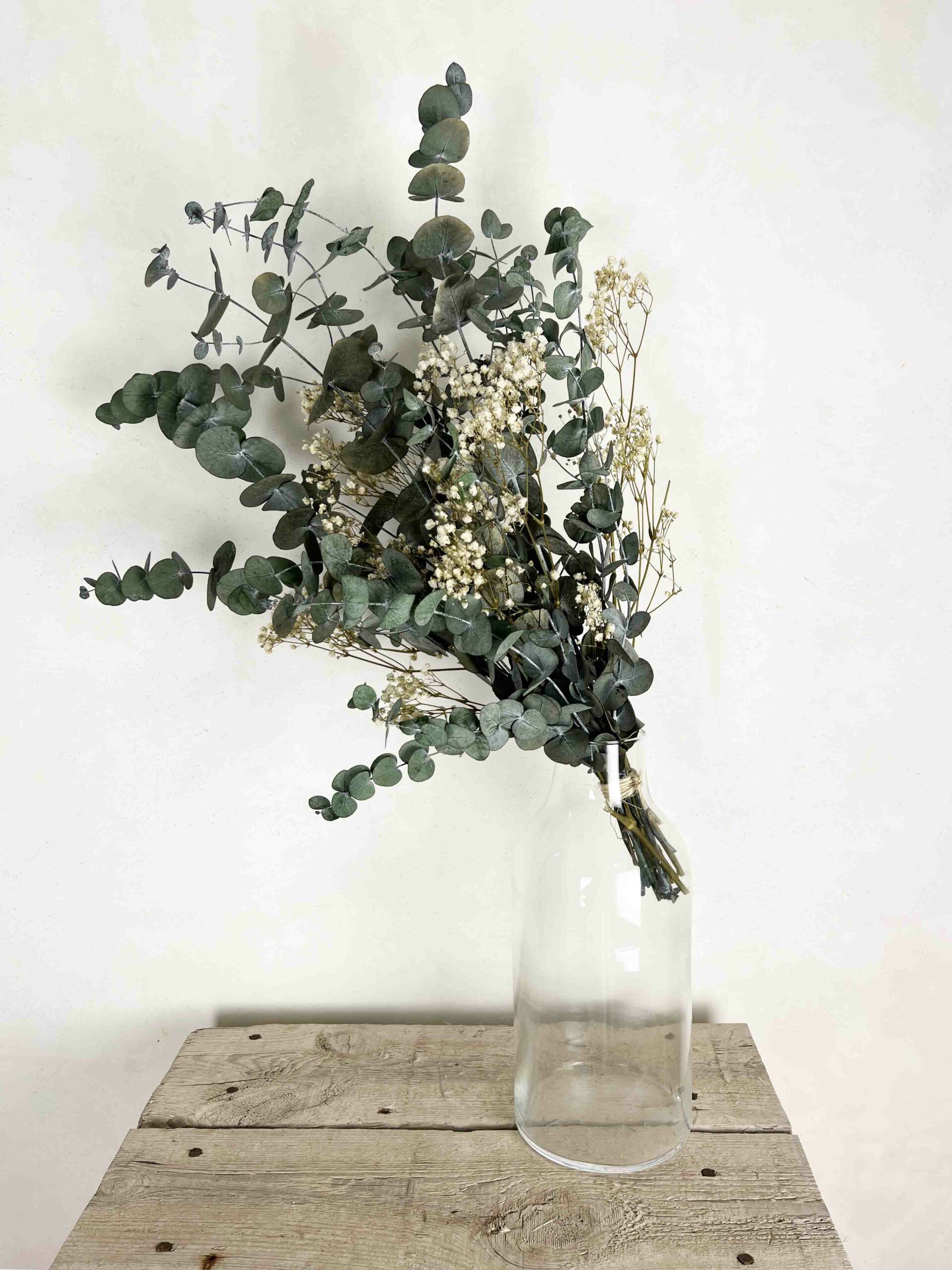 ramillete eucalipto preservado||||||||||